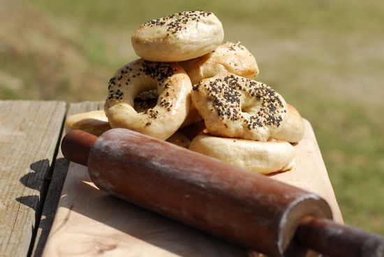 Picture of Sourdough Bagels