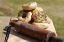 Picture of Sourdough Bagels